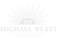 Michael byatt logo